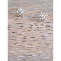Boucles d'oreille