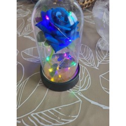 Rose éternelle bleue