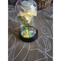 Rose éternelle blanche