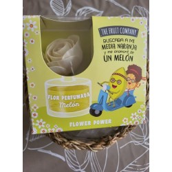 Fleur de Mikado Melon